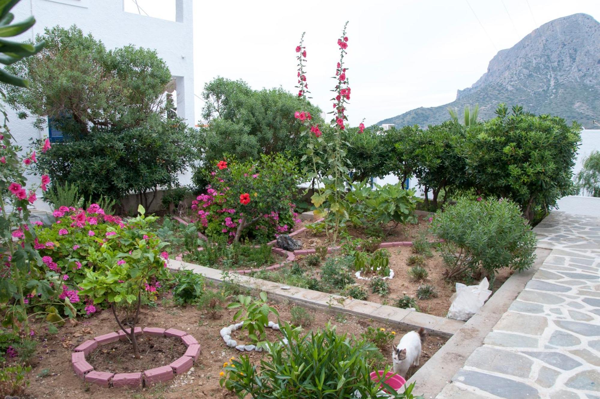 Tatsis Apartments Μασούρι Εξωτερικό φωτογραφία
