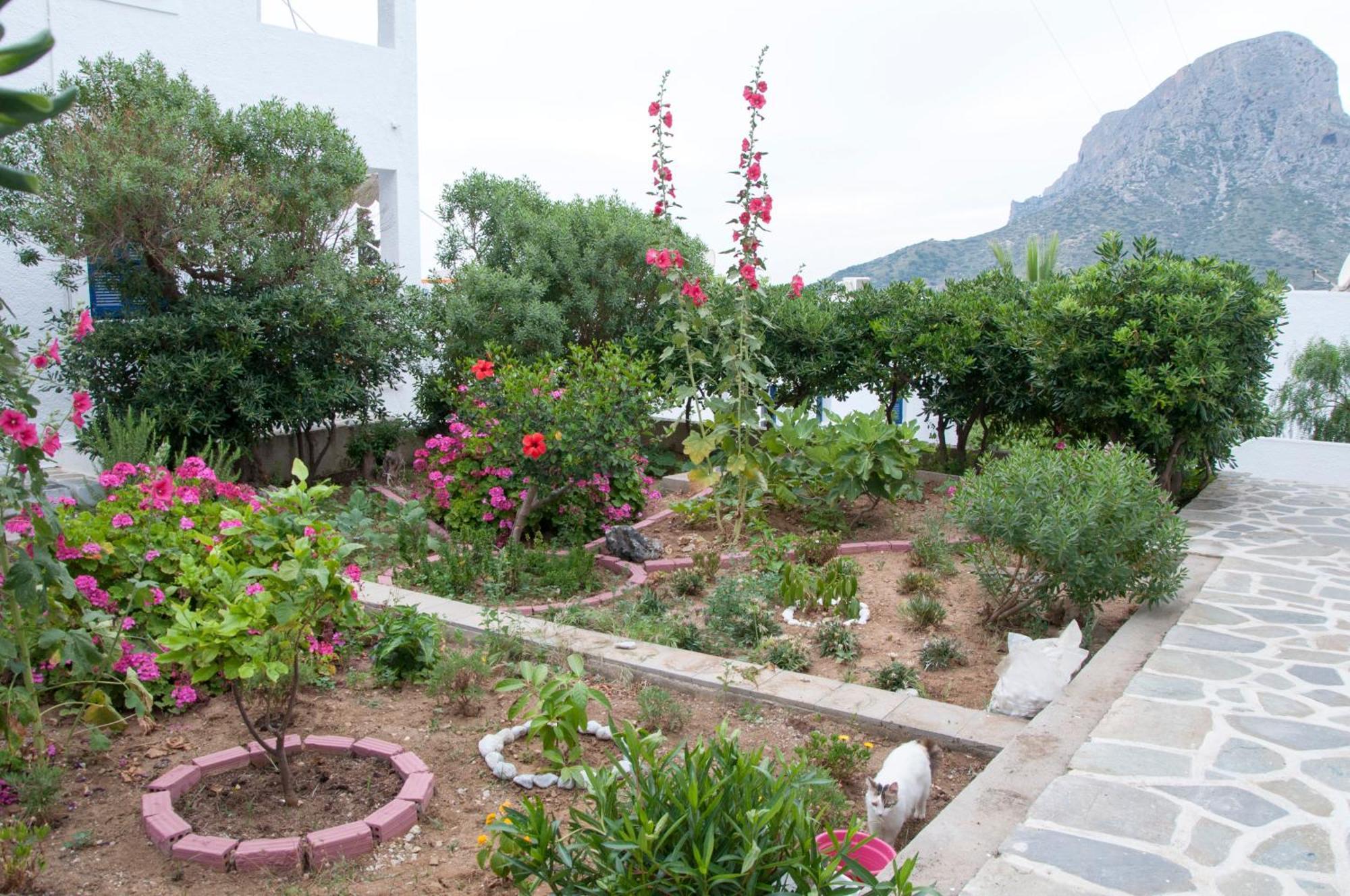 Tatsis Apartments Μασούρι Δωμάτιο φωτογραφία